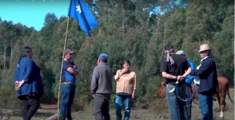 «Ninguna defensora ambiental debe quedar sola frente a la violencia o la indiferencia del Estado»