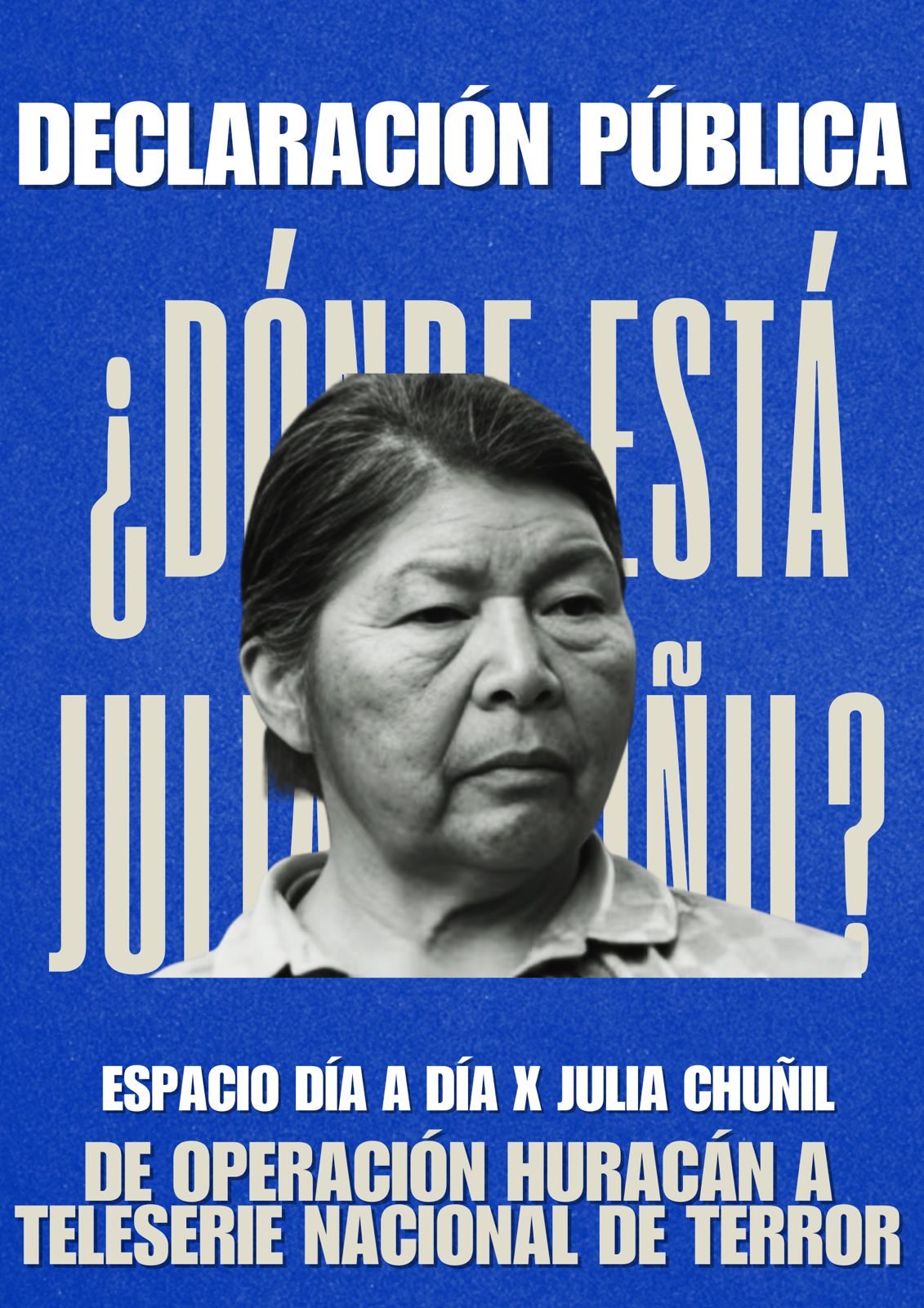 Declaración Pública: Día a Día por Julia Chuñil