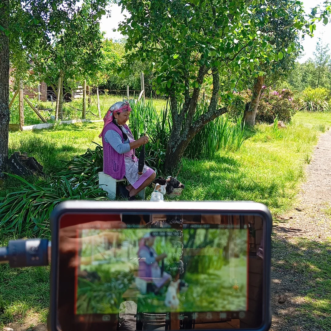 Witral y Kimün Mapuche: Universo en 6 Colores lanza microdocumentales para difundir el arte textil en Los Ríos