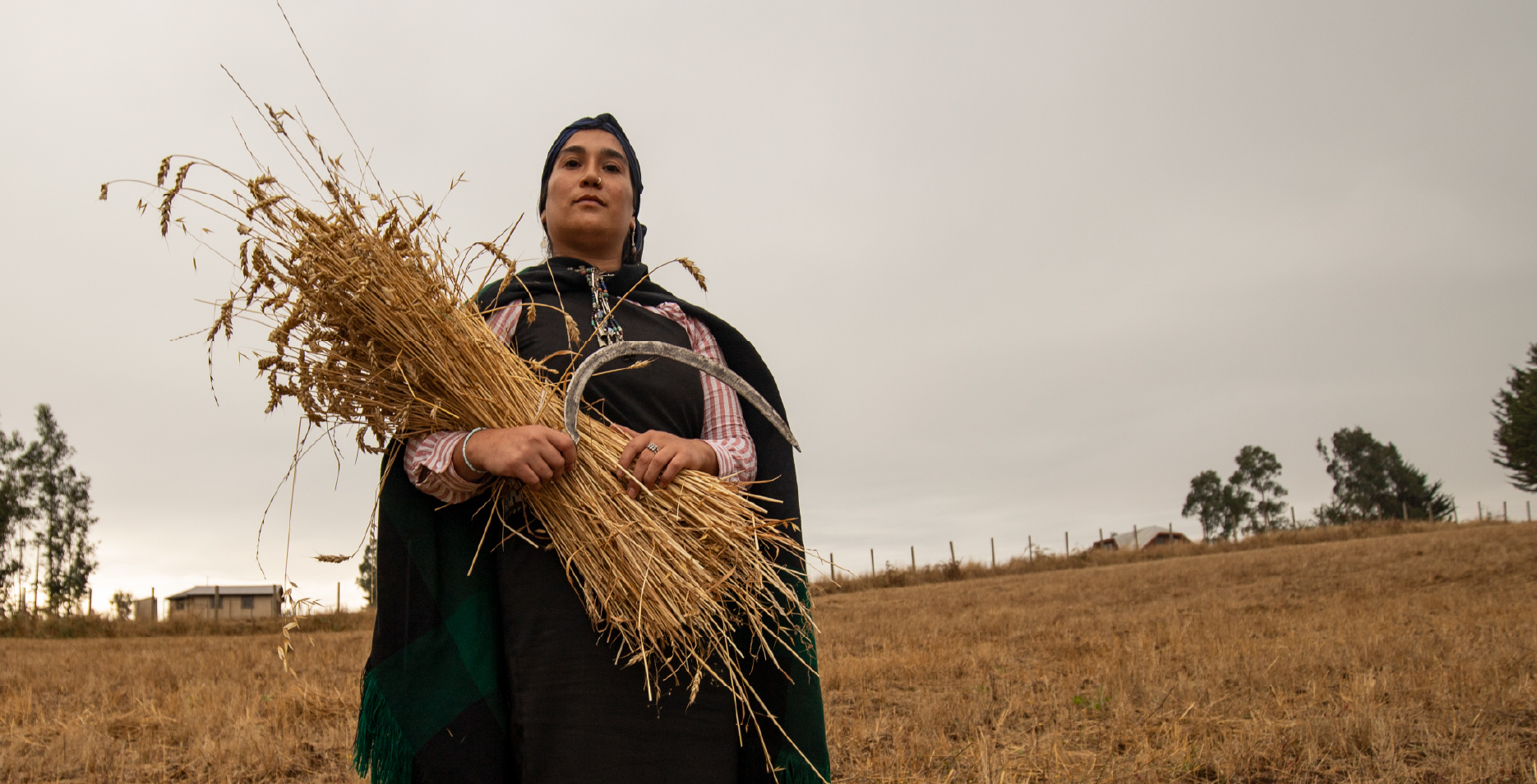 En Santiago invitan a inauguración de exposición artística «La espiga y el oro»